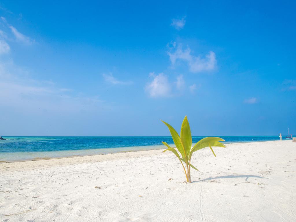 La Cabana Maldives Hotel Maamigili Buitenkant foto