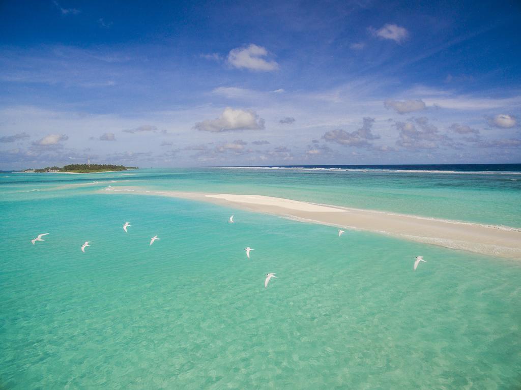 La Cabana Maldives Hotel Maamigili Buitenkant foto